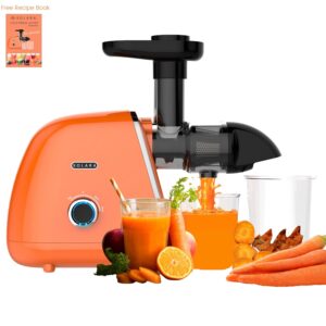 SOLARA Cold Press Juicer for Home, Slow Juicer Cold Pressed …
